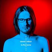 Le texte musical NOWHERE NOW de STEVEN WILSON est également présent dans l'album To the bone (2017)