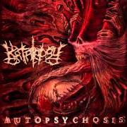 Le texte musical NEEDLES OF HYPOCRISY de KATALEPSY est également présent dans l'album Autopsychosis (2013)