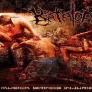 Le texte musical NECROVIOLATED TO LIQUID de KATALEPSY est également présent dans l'album Musick brings injuries (2007)