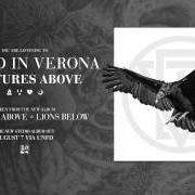 Le texte musical SEPARATION de BURIED IN VERONA est également présent dans l'album Vultures above, lions below (2015)