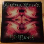 Le texte musical EL JUERO de DYING BREED est également présent dans l'album Fleshflower (2000)