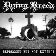 Le texte musical CARVED de DYING BREED est également présent dans l'album Represed but not extinct (1994)
