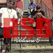 Le texte musical OUT IN BROOKLYN de TROY AVE est également présent dans l'album Troy ave presents: bsb vol. 4 (2014)