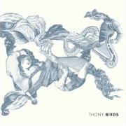Le texte musical FLOWERS BLOSSOM de THONY est également présent dans l'album Birds (2012)