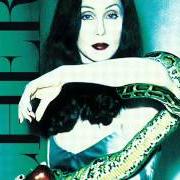 Le texte musical THE SAME MISTAKE de CHER est également présent dans l'album It's a man's world (1995)