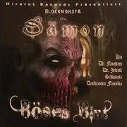 Le texte musical BÖSES BLUT de BLOKKMONSTA est également présent dans l'album Böses blut (2007)