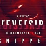 Le texte musical IRREVERSIBEL (HIRNTOT EDITION) de BLOKKMONSTA est également présent dans l'album Irreversibel (2020)