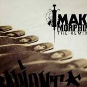Le texte musical TILL THE END (PALE SOUL REMIX) de SAPIENT est également présent dans l'album Make morphine - the remixes (2009)