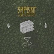 Le texte musical FOOL FOR GOLD de SAPIENT est également présent dans l'album Fool for gold (2016)
