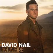 Le texte musical BROKE MY HEART de DAVID NAIL est également présent dans l'album I'm a fire (2014)