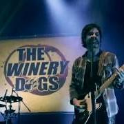 Le texte musical DESIRE de WINERY DOGS est également présent dans l'album Unleashed in japan (2014)