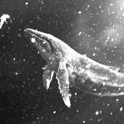 Sing for you - winter special album, 2015