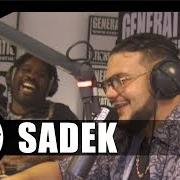 Le texte musical SANZ de SADEK est également présent dans l'album Vulgaire, violent et ravi d'être là (2017)