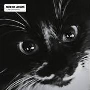 Le texte musical PRÉFACE de KLUB DES LOOSERS est également présent dans l'album Le chat et autres histoires (2017)