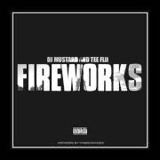 Le texte musical HIT IT FROM THE BACK de TEEFLII est également présent dans l'album Fireworks (2013)