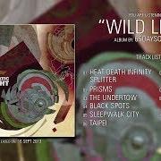 Le texte musical TAIPEI de 65DAYSOFSTATIC est également présent dans l'album Wild light (2013)