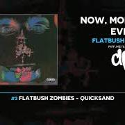 Le texte musical WHEN IM GONE de FLATBUSH ZOMBIES est également présent dans l'album Now, more than ever (2020)