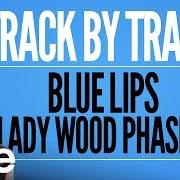 Le texte musical DONT ASK DONT TELL de TOVE LO est également présent dans l'album Blue lips (lady wood phase ii) (2017)
