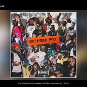 Le texte musical MILLION DOLLAR NIGGA de PEEZY est également présent dans l'album Free rio (2021)