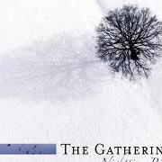 Le texte musical CONFUSION de THE GATHERING est également présent dans l'album Nighttime birds (1997)