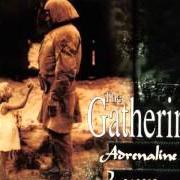 Le texte musical ADRENALINE de THE GATHERING est également présent dans l'album Adrenaline / leaves (1996)