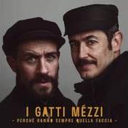 Le texte musical IO, TE, IL BAR de I GATTI MÉZZI est également présent dans l'album Perchè hanno sempre quella faccia (2016)