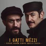 Le texte musical IL MARE È UNA SCUSA de I GATTI MÉZZI est également présent dans l'album Perchè hanno sempre quella faccia (2016)