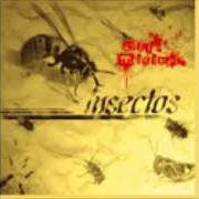 Le texte musical CRISTALES ROTOS de BAJO MÍNIMOS est également présent dans l'album Insectos (2004)
