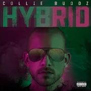 Le texte musical LEGAL NOW de COLLIE BUDDZ est également présent dans l'album Hybrid (2019)