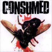 Le texte musical PROMOTER HEAD de CONSUMED est également présent dans l'album Hit for six (1999)
