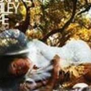 Le texte musical DIVING FOR HEARTS de CORINNE BAILEY RAE est également présent dans l'album The sea (2010)