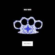 Le texte musical REBEL NATION de STEVE ANGELLO est également présent dans l'album Wild youth (2015)