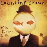 Le texte musical FOUR DAYS de COUNTING CROWS est également présent dans l'album This desert life (1999)