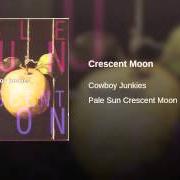 Le texte musical WHITE SAIL de COWBOY JUNKIES est également présent dans l'album Pale sun, crescent moon (1993)