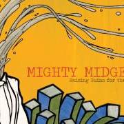Le texte musical TIME WELL WASTED de MIGHTY MIDGETS est également présent dans l'album Raising ruins for the future (2010)