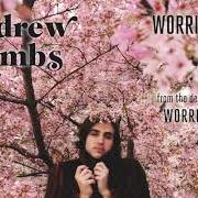 Le texte musical WHY, OH WHY de ANDREW COMBS est également présent dans l'album Worried man (2012)