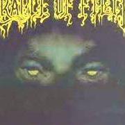Le texte musical FROM THE CRADLE TO ENSLAVE de CRADLE OF FILTH est également présent dans l'album From the cradle to enslave (1999)