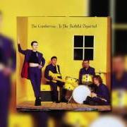 Le texte musical FOREVER YELLOW SKIES de THE CRANBERRIES est également présent dans l'album To the faithful departed (1995)