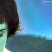 Le texte musical NEL MIO GIARDINO (REPRISE) de CRISTINA DONÀ est également présent dans l'album Dove sei tu