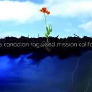 Le texte musical JENNY de CROSS CANADIAN RAGWEED est également présent dans l'album Mission california (2007)