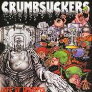 Le texte musical SHITS CREEK de CRUMBSUCKERS est également présent dans l'album Life of dreams (1986)