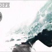 Le texte musical DIOS FALSO de FORT HOPE est également présent dans l'album The flood flowers, vol. 1 (2017)