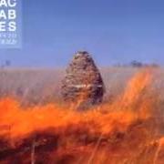 Le texte musical GO de THE MACCABEES est également présent dans l'album Given to the wild (2011)