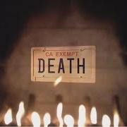 Le texte musical BIRDS de DEATH GRIPS est également présent dans l'album Government plates (2013)