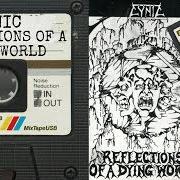 Le texte musical A LIFE ASTRAY de CYNIC est également présent dans l'album Reflections of a dying world - demo (1989)