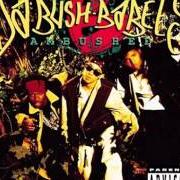 Le texte musical CLEAR MY THROAT de DA BUSH BABEES est également présent dans l'album Ambushed (1994)