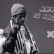 Le texte musical THE WAY LIFE GOES de LIL UZI VERT est également présent dans l'album Luv is rage 2 (2017)