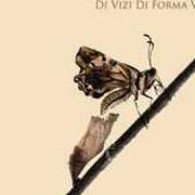 Le texte musical I LOVE YOU BUT IT HURTS de DARGEN D'AMICO est également présent dans l'album Di vizi di forma virtù (2008)