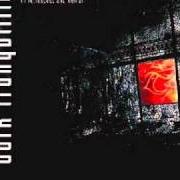 Le texte musical VOID OF TRANQUILLITY de DARK TRANQUILLITY est également présent dans l'album Yesterworld (2009)