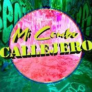 Le texte musical HASTA QUE TE LO HUNDA de ÑENGO FLOW est également présent dans l'album Flow callejero (2005)